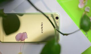 再度遇见你 再度遇见你