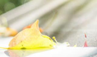 90后伤感歌曲 90后伤感歌曲