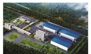 小布跳一首科目三