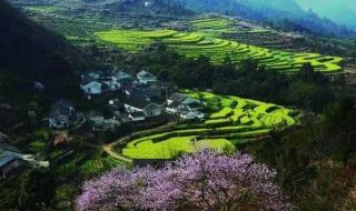 芜湖一日游 芜湖一日游