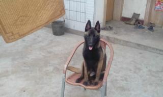 1.76极品火龙 1.76极品火龙