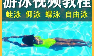 自由泳教程 自由泳教程