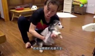 忠诚纪录片 忠诚纪录片