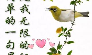 2023你好图片 2023你好图片