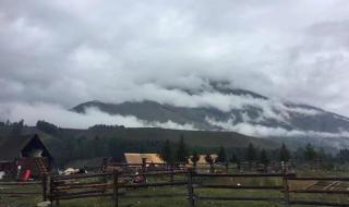 西北自驾游 西北自驾游