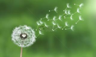 适合做背景的壁纸图片 适合做背景的壁纸图片