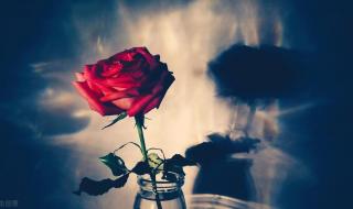 张爱玲朱砂痣那段话 张爱玲朱砂痣那段话