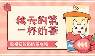 秋天的第一杯奶茶暗示 秋天的第一杯奶茶暗示