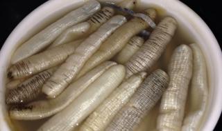 土笋冻是什么做的 土笋冻是什么做的