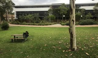 澳大利亚卧龙岗大学 澳大利亚卧龙岗大学