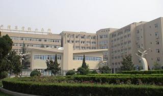 专科就业率排行榜 专科就业率排行榜