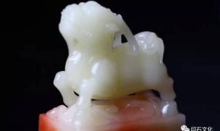 神龙宗洛离是什么小说 神龙宗洛离是什么小说