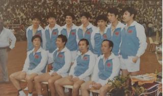 世界羽毛球四大天王