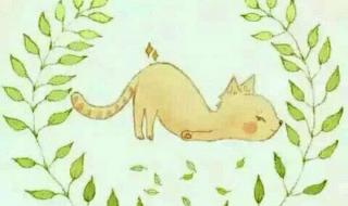 适合手机铃声的歌曲 适合手机铃声的歌曲